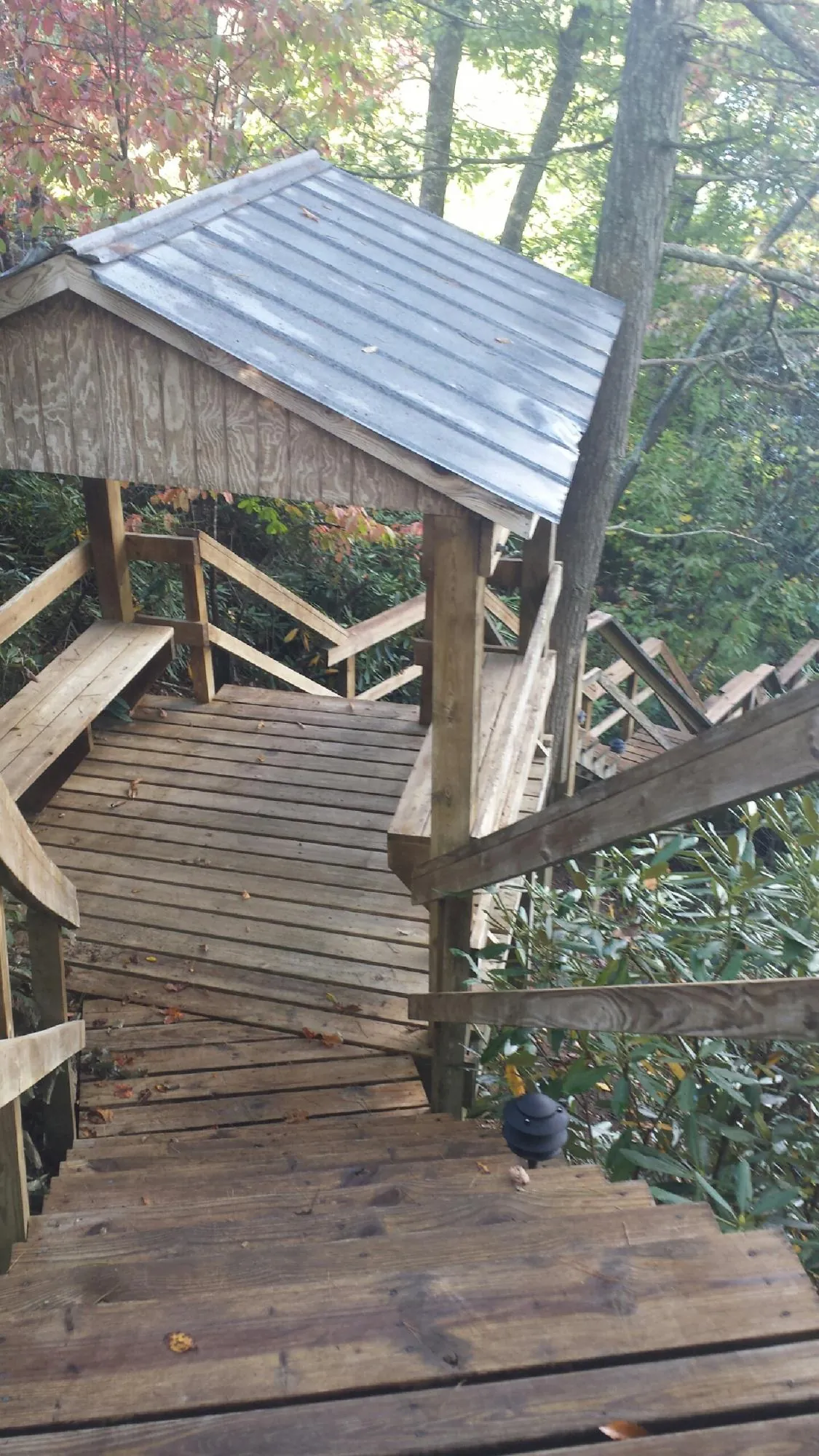 Metal roofed shelter over wooden steps on a wooded walkway — Skylight Repair & Installation work by our crew in Beulaville