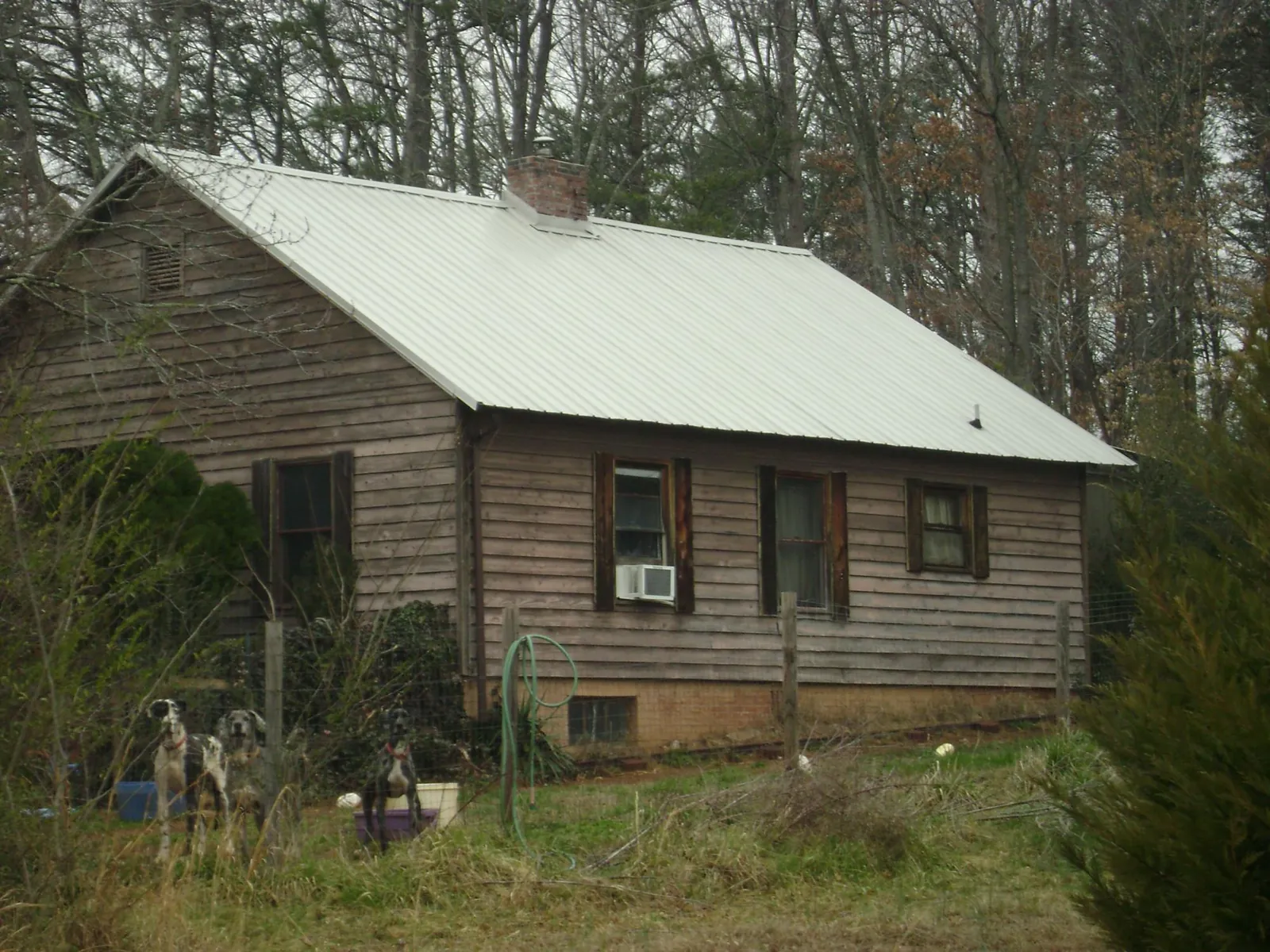 White metal roof on an old wood sided farmhouse, from a Asphalt Shingle Roof Repair job in Beulaville